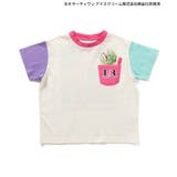 【リンク】サーティワン Tシャツ | F.O.Online Store | 詳細画像27 