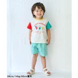 8柄バラエティモチーフTシャツ | F.O.Online Store | 詳細画像25