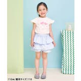 WEB限定  【接触冷感】デイリーカラバリTシャツ ＿ | F.O.Online Store | 詳細画像16 