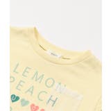 WEB限定  【接触冷感】デイリーカラバリTシャツ ＿ | F.O.Online Store | 詳細画像6 