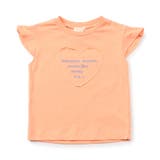 オレンジ | WEB限定  【接触冷感】デイリーカラバリTシャツ ＿ | F.O.Online Store