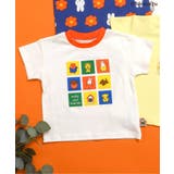 レインボー | 【リンク】Dick Bruna バラエティTシャツ | F.O.Online Store