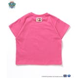 PAW Patrol 4柄Tシャツ | F.O.Online Store | 詳細画像11