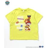 PAW Patrol 4柄Tシャツ | F.O.Online Store | 詳細画像13