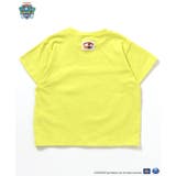 PAW Patrol 4柄Tシャツ | F.O.Online Store | 詳細画像14