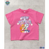 ピンク | PAW Patrol 4柄Tシャツ | F.O.Online Store
