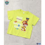 イエロー | PAW Patrol 4柄Tシャツ | F.O.Online Store