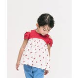 レッド | 4柄アソートドッキングトップス_接触冷感_吸水速乾 | F.O.Online Store