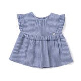 ストライプ柄 | WEB限定 カラフルチュニック | F.O.Online Store