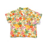 【リンク】チェック・トロピカルセットアップ  5分丈 | F.O.Online Store | 詳細画像16 
