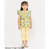 【リンク】ハート・レモン柄フリルセットアップ_RP 7分丈 | F.O.Online Store | 詳細画像19