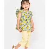 サックス | 【リンク】ハート・レモン柄フリルセットアップ_RP 7分丈 | F.O.Online Store