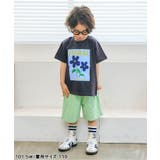 ひんやりスターポケットハーフパンツ  5分丈 接触冷感 | F.O.Online Store | 詳細画像17 