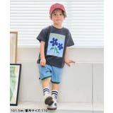 パイルハーフパンツ  4分丈 | F.O.Online Store | 詳細画像17 
