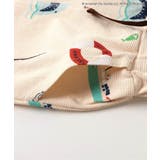 JAWS ハーフパンツ  4分丈 | F.O.Online Store | 詳細画像5 