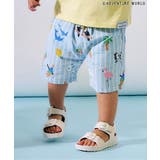 ブルー | 【リンク】アドベンチャーワールドハーフパンツ 5分丈 | F.O.Online Store