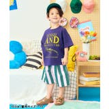 【リンク】ワイドタックショートパンツ  6分丈 | F.O.Online Store | 詳細画像22 