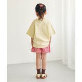 WEB限定  まいにちショートパンツ | F.O.Online Store | 詳細画像7 