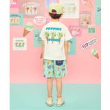 サーティワン デニム・ストライプハーフパンツ 4分丈 | F.O.Online Store | 詳細画像14