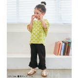無地総柄プリーツレギンス  9分丈 吸水速乾 | F.O.Online Store | 詳細画像13 