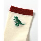 恐竜柄吸水速乾クルーソックス | F.O.Online Store | 詳細画像6 