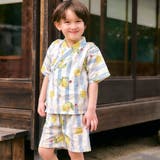 ストライプ柄 | アプレのはんなりBOYS甚平 | F.O.Online Store