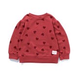 レッド | GIRLSバラエティトレーナー | F.O.Online Store