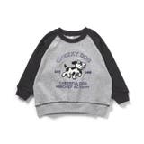 ラグランサガラモチーフトレーナー | F.O.Online Store | 詳細画像2