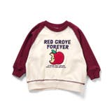ラグランサガラモチーフトレーナー | F.O.Online Store | 詳細画像9