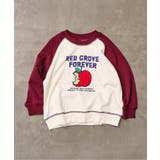 エンジ | ラグランサガラモチーフトレーナー | F.O.Online Store