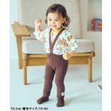 tiny bear Palette レギンス&ソックスセット  | F.O.Online Store | 詳細画像3 
