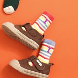 レインボー | アルファベットソックス | F.O.Online Store