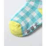 WEB限定 お茶犬ワンポイント刺繍ソックス | F.O.Online Store | 詳細画像8 