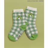 グリーン | WEB限定 お茶犬ワンポイント刺繍ソックス | F.O.Online Store