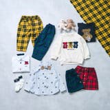tiny bear アソートソックス | F.O.Online Store | 詳細画像13 