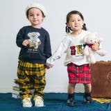 tiny bear アソートソックス | F.O.Online Store | 詳細画像9 