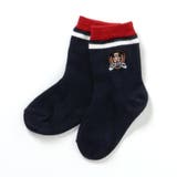 ネイビーブルー | tiny bear アソートソックス | F.O.Online Store