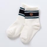オフホワイト | tiny bear アソートソックス | F.O.Online Store