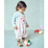 tiny bear Palette バラエティソックスセット  | F.O.Online Store | 詳細画像12 