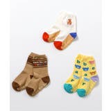 tiny bear Palette バラエティソックスセット  | F.O.Online Store | 詳細画像2 