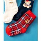レッド | tiny bear 3柄アソートソックス | F.O.Online Store