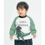 グリーン | 3柄ビックモチーフトレーナー | F.O.Online Store