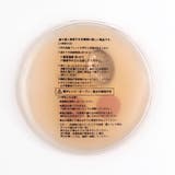 バラエティエコカイロ | F.O.Online Store | 詳細画像5