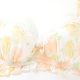 RosePerfume ペアブラジャー フラン | fran de lingerie | 詳細画像9 