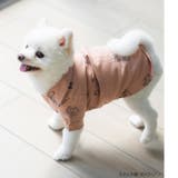 cotton flannel小型犬サイズ・犬服(ドッグウェア)・シャツ | fran de lingerie | 詳細画像7 