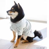 cotton flannel小型犬サイズ・犬服(ドッグウェア)・シャツ | fran de lingerie | 詳細画像14 