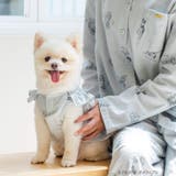 cotton flannel小型犬サイズ・犬服(ドッグウェア)・ドレス | fran de lingerie | 詳細画像5
