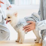 cotton flannel小型犬サイズ・犬服(ドッグウェア)・ドレス | fran de lingerie | 詳細画像6