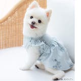 cotton flannel小型犬サイズ・犬服(ドッグウェア)・ドレス | fran de lingerie | 詳細画像7