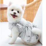 cotton flannel小型犬サイズ・犬服(ドッグウェア)・ドレス | fran de lingerie | 詳細画像8